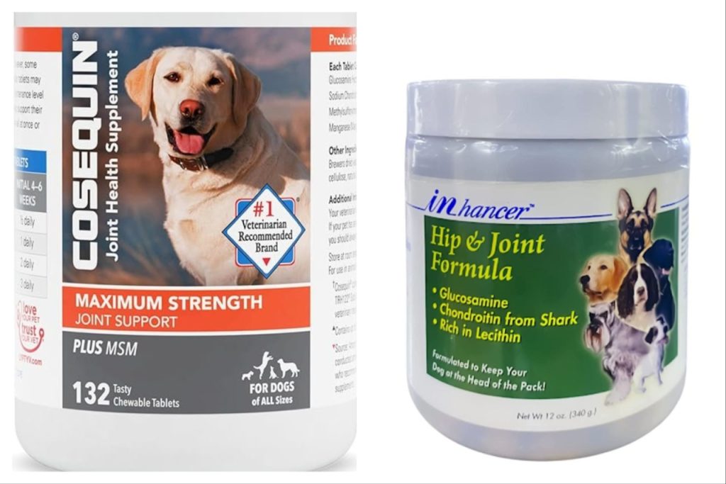 Best Joint Supplement for Dogs