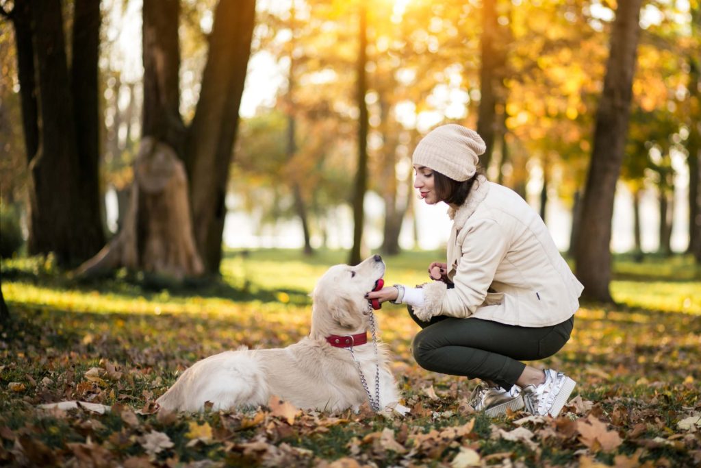 Heartworm Prevention for Dogs