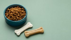 Best Dog Food for Sensitive Stomach